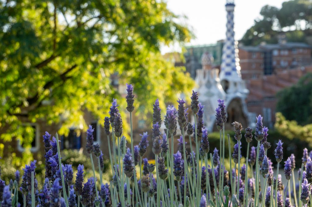 スペイン・バルを20件巡る旅